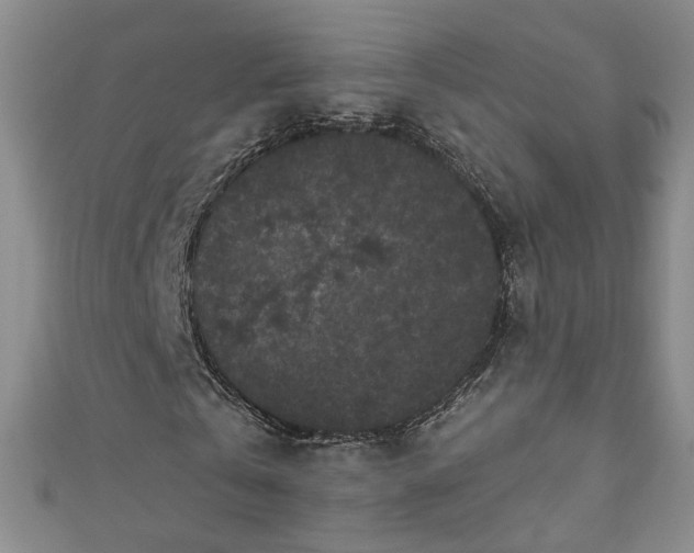 X0000110940769200906261300