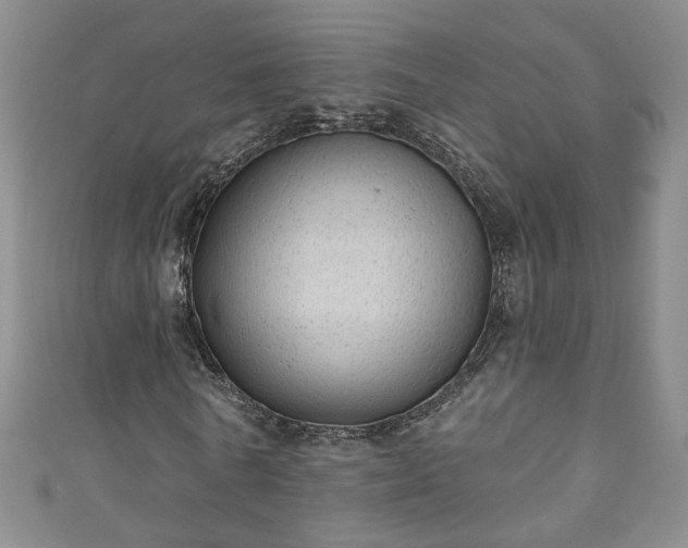 X0000110940770200906261300