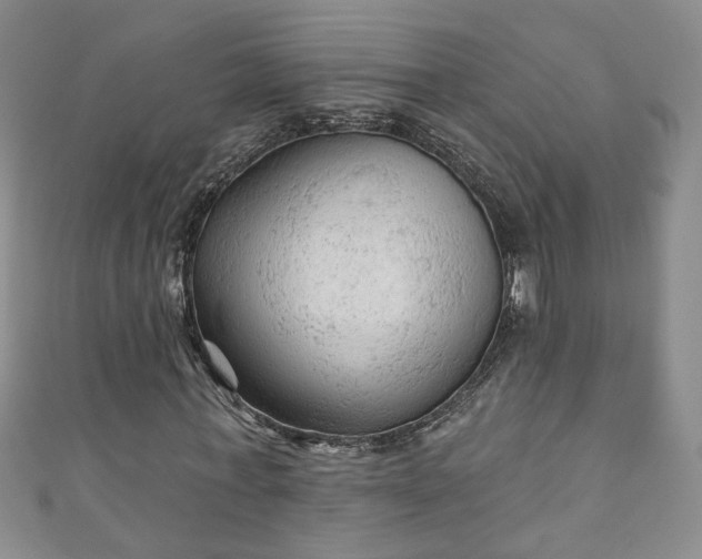 X0000110940771200906261300