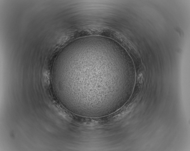 X0000110940772200906261300