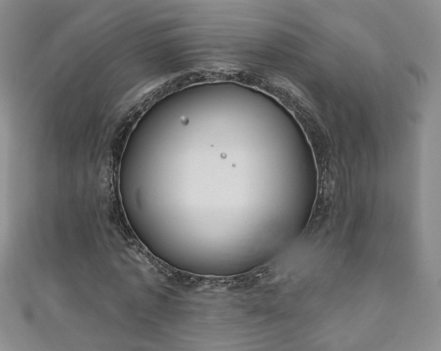 X0000110940773200906261300