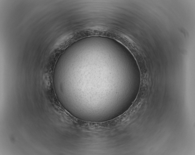 X0000110940774200906261300