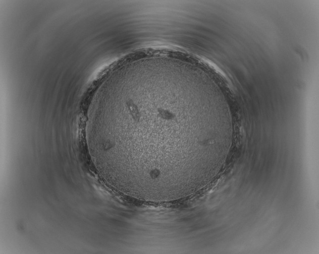X0000110940775200906261300