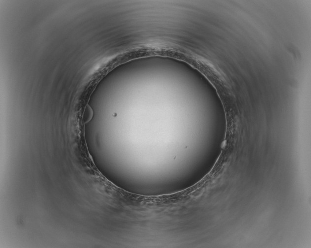 X0000110940776200906261300