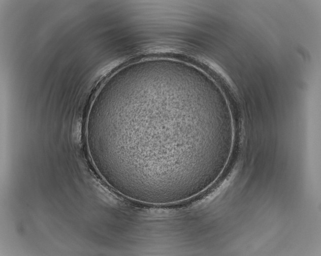 X0000110940777200906261300