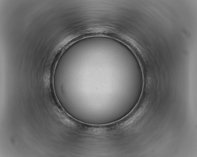 X0000110940778200906261300