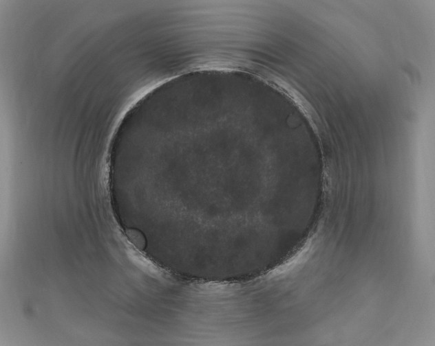 X0000110940779200906261300