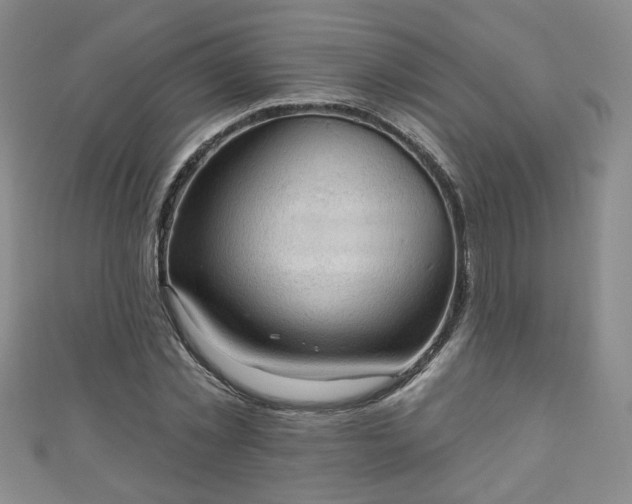 X0000110940781200906261300