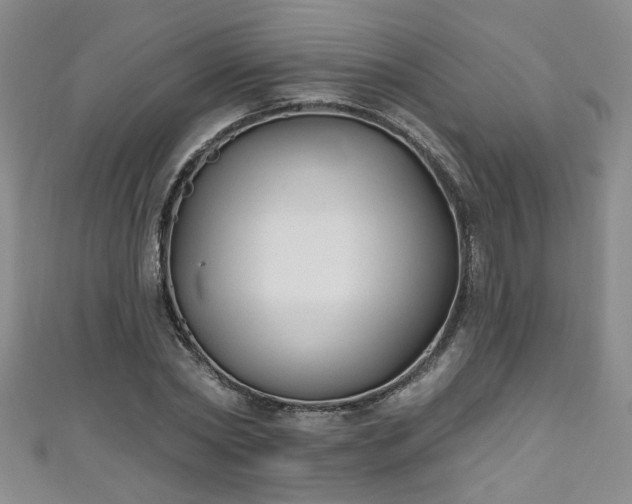 X0000110940782200906261300