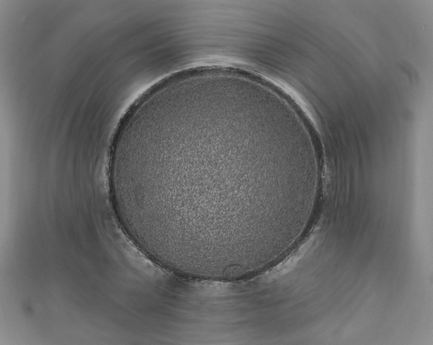 X0000110940783200906261300