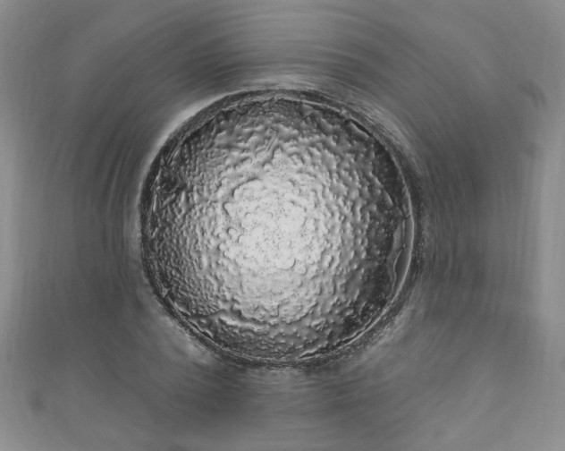 X0000110940784200906261259