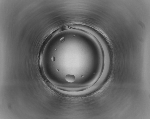 X0000110940785200906261259