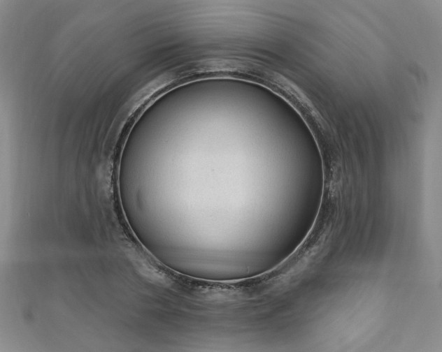 X0000110940786200906261259