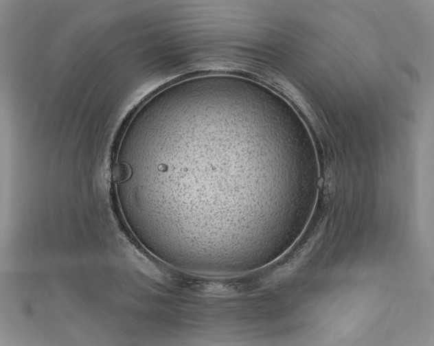 X0000110940787200906261259