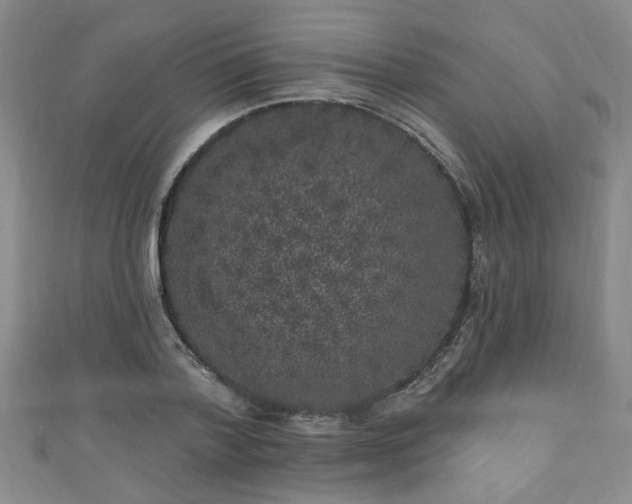 X0000110940788200906261259