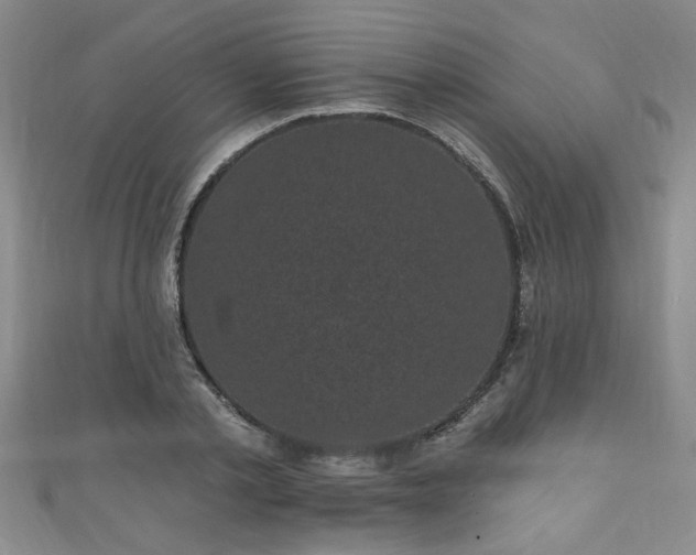 X0000110940789200906261259