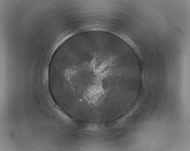 X0000110940790200906261259