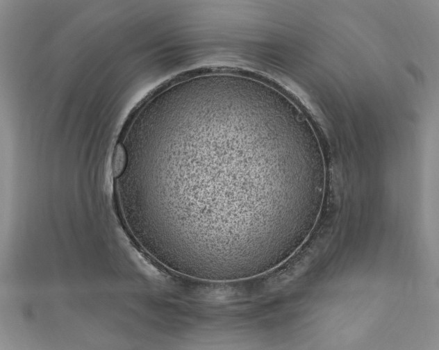 X0000110940791200906261259