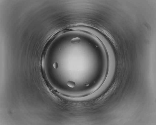 X0000110940793200906261259