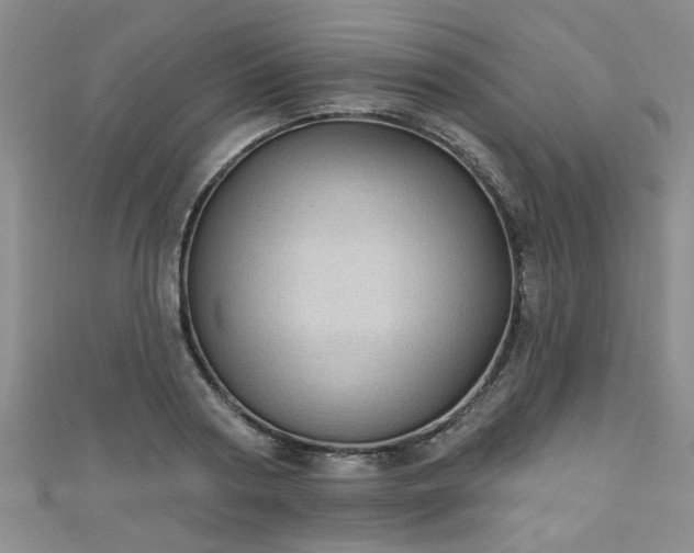 X0000110940794200906261259