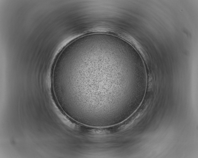 X0000110940795200906261259