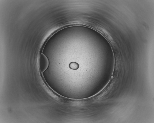 X0000110940796200906261259