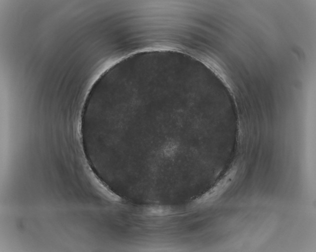 X0000110940797200906261259