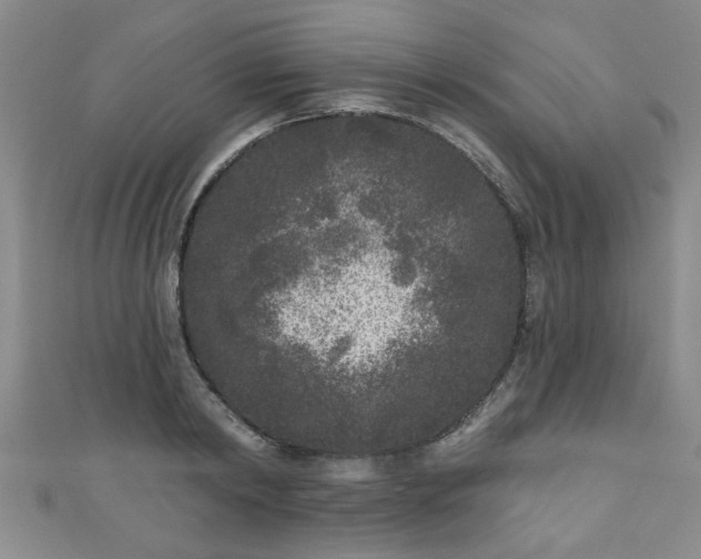 X0000110940798200906261259