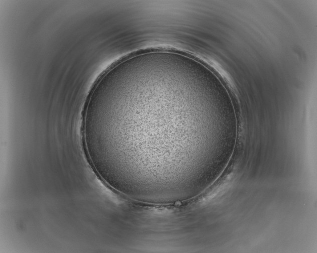 X0000110940799200906261259