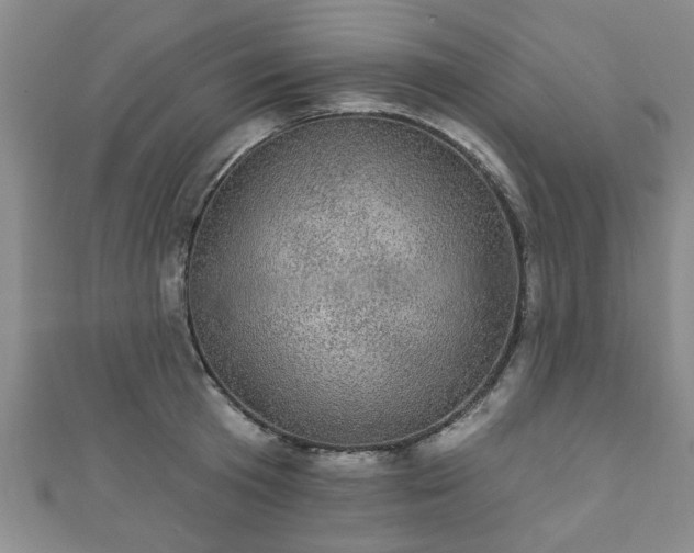 X0000110940801200906261259