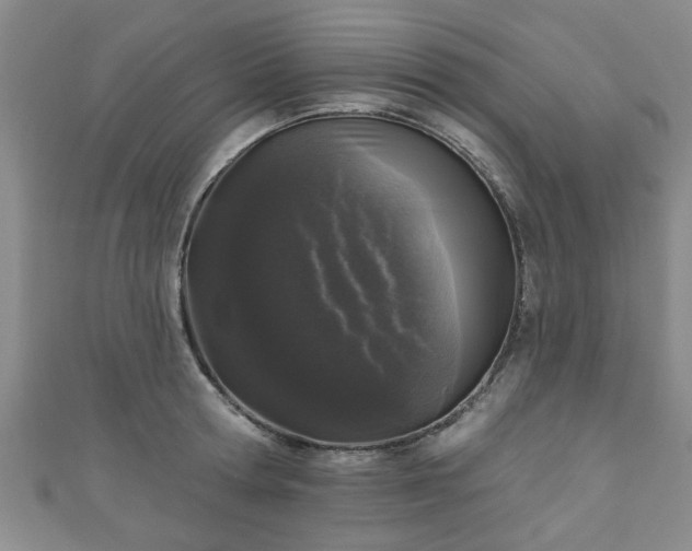 X0000110940802200906261259