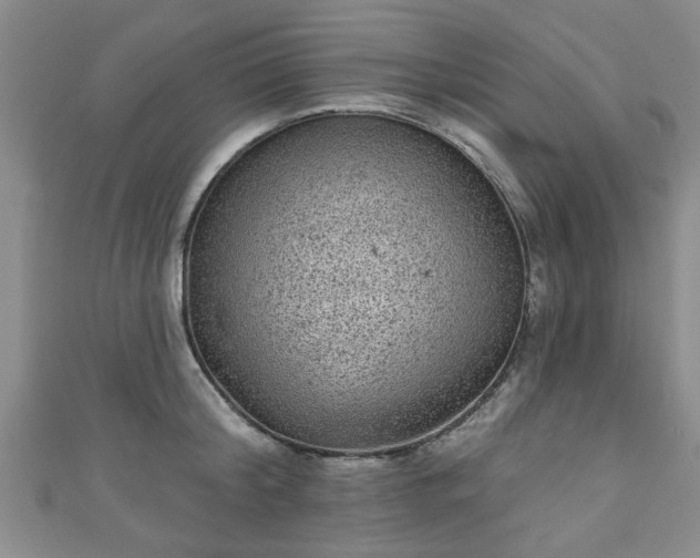 X0000110940804200906261259