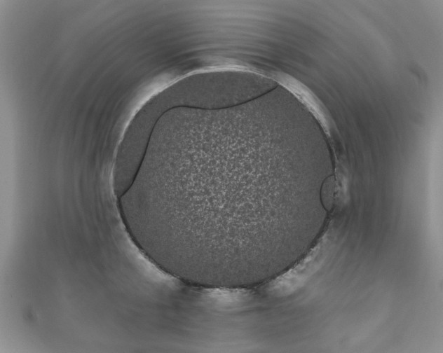 X0000110940805200906261259