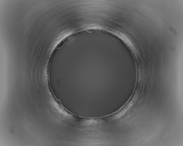 X0000110940806200906261259