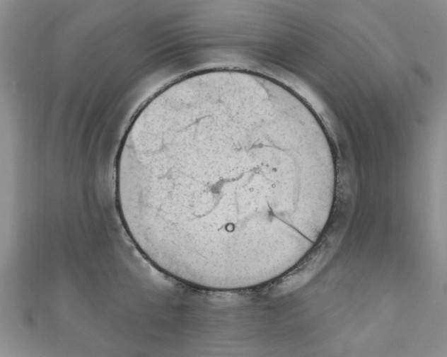 X0000110940807200906261259