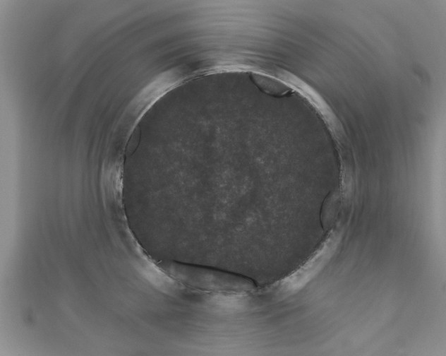 X0000110940809200906261259