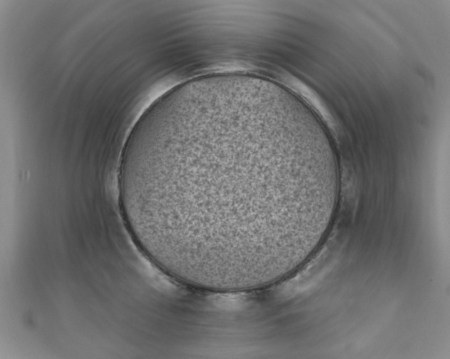 X0000110940810200906261259