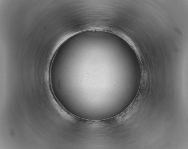 X0000110940811200906261259