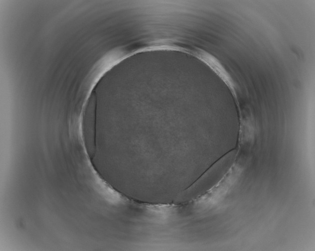 X0000110940813200906261259