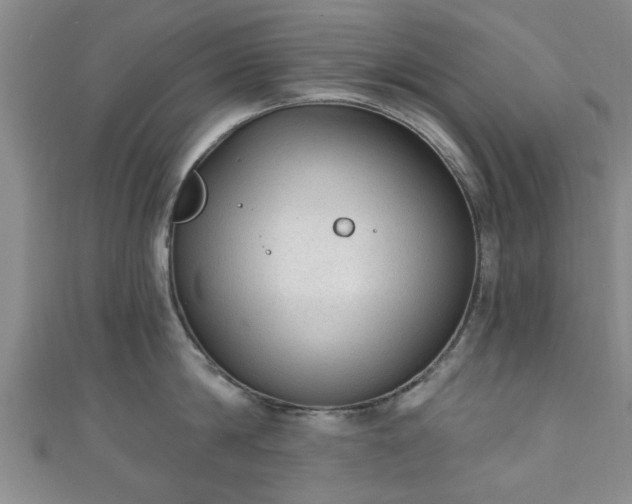 X0000110940814200906261259