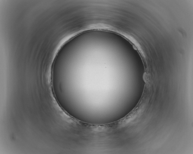 X0000110940815200906261259