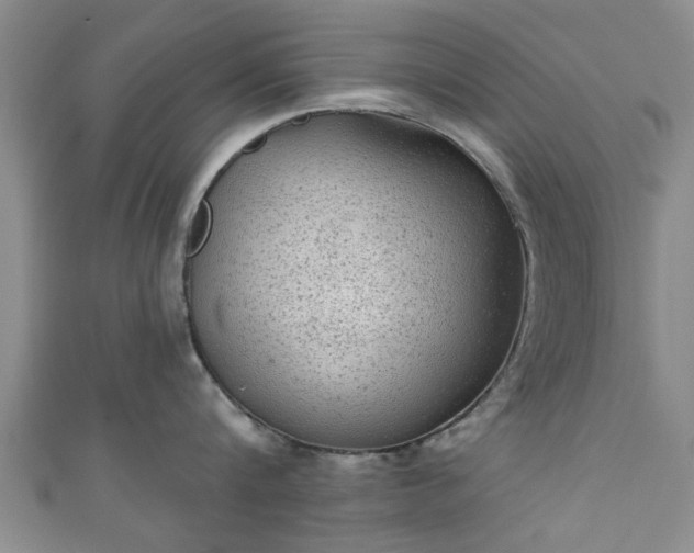 X0000110940816200906261259