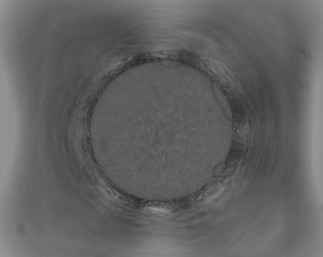 X0000110940817200906261258