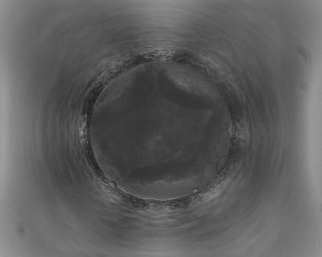 X0000110940818200906261258