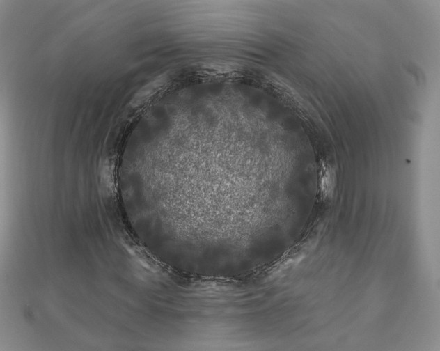 X0000110940819200906261258