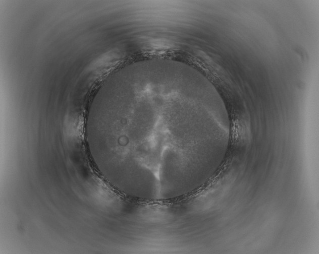 X0000110940820200906261259