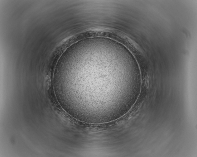 X0000110940821200906261259