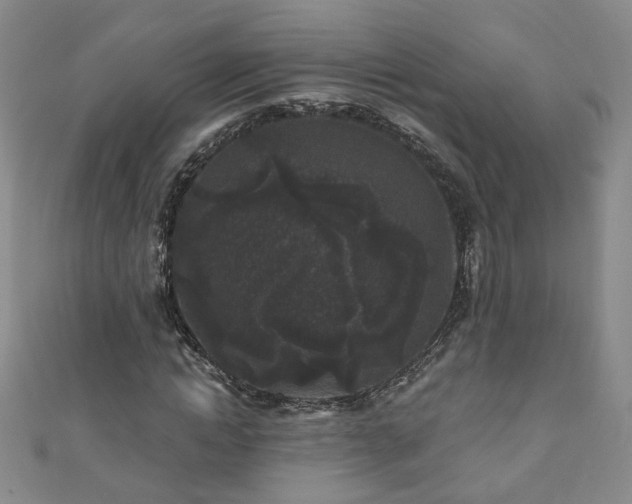 X0000110940822200906261259