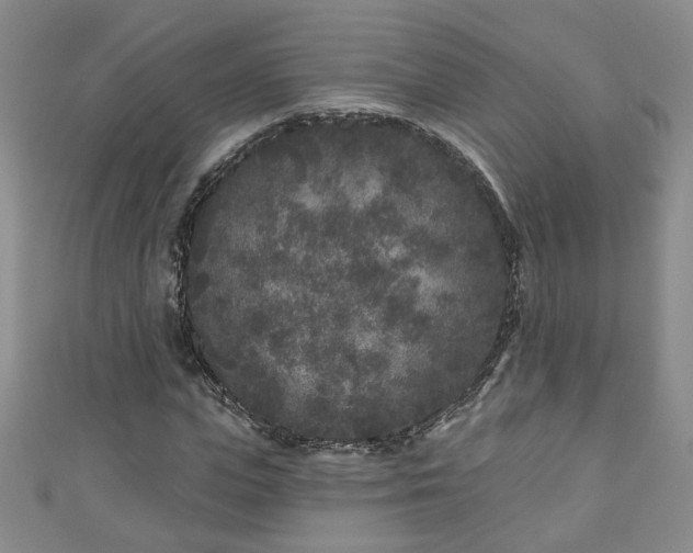 X0000110940823200906261259