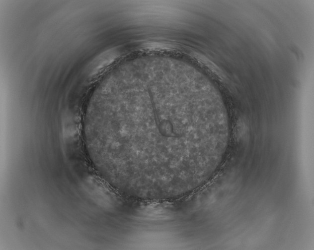 X0000110940824200906261259